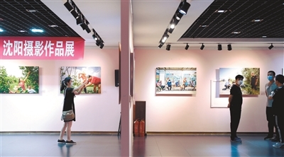 沈陽30位駐村“第一書記”成主角，鄉村振興展覽展現責任與擔當